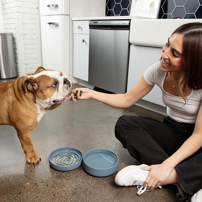 Slow Feeder Dog Bowls - Medium Size Silicone Slow Eating Dog Bowl for Puppies & Dogs with Suction Cup -Dishwasher-Safe, Lick Mat Design, Reduces Gulping,for All Breeds,7.5”x1.5”- Tan