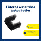 PetSafe Viva Foam Filters, Fits 64 oz & 140 oz Pet Fountains, 2-Pack | Fits 64 oz & 140 oz Viva Fountains, Removes Debris/Hair, Protects Pump, Replace Every 1-2 Months