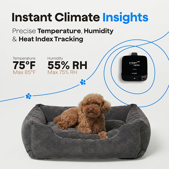 Waggle RV Pet Temperature Monitor - 4G Cellular, No WiFi Required - Real-Time App, SMS & Email Power Outage Alerts - Unlimited Notifications - Home, Car, RV & Vacation Safety - Subscription Required