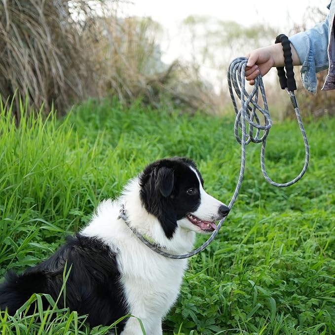 NTR Heavy Duty Dog Leash, 15FT Training Leash with Swivel Lockable Hook, Padded Handle and Highly Reflective Threads, Dog Lead for Walking, Hunting, Camping, Backyard for Small Medium Large Dog, Grey