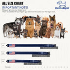 Tactical Nylon Dog Collar - Heavy Duty Metal Buckle with Handle for Dog Training, with Patches (Blue, L)