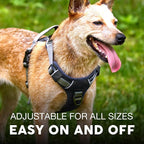 Embark Adventure Dog Harness, Reflective Trim No Pull Dog Harness Medium Sized - Military Grade Nylon, Front Clip with Gel Lined Handle. Soft & Padded Puppy Harnesses for Any Breed