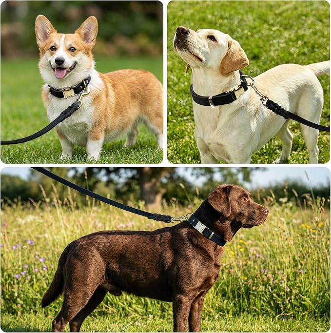 Leather Dog Collar and Leash Set, 6FT Heavy Duty Leather Training Leash with Adjustable Dog Collar, Soft and Durable Dogs Leashes and Collars Set for Small Medium Large Dogs (Black, XL)