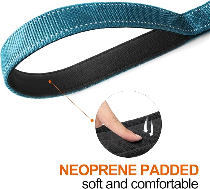 Twoear 6FT 1IN Heavy Duty Dog Leash for Large Dogs with 2 Padded Handles | Traffic Handle Extra Control, Auto Lock Hook, Strong Reflective Walking Leash for Night Safety, Medium and Large Breeds,Blue