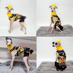 D Doggy Star Italian Greyhound Clothes Stretchable Bow Leggings One-piece Whippet for Dog (L,Ops Bow Black)