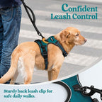 rabbitgoo Dog Harness No Pull with 2 Leash Clips, Adjustable Soft Padded, Reflective Oxford No Choke Pet Vest with Easy Control Handle for Large Dogs, Blue Coral, XL | No Choke with Handle, Adjustable Soft Padded, Reflective, Easy Control for Walking, ...