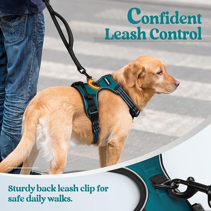 rabbitgoo Dog Harness No Pull with 2 Leash Clips, Adjustable Soft Padded, Reflective Oxford No Choke Pet Vest with Easy Control Handle for Large Dogs, Blue Coral, XL | No Choke with Handle, Adjustable Soft Padded, Reflective, Easy Control for Walking, ...