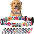 Lucky Love Dog - Adjustable Dog Collar with Easy Click Buckle for Large Ones, Durable, & Comfortable for Male & Female Dogs, Pet Collar for Puppies & Adult Dogs - Ladybird, Large
