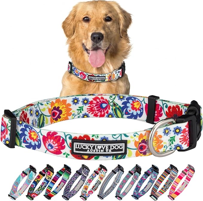Lucky Love Dog - Adjustable Dog Collar with Easy Click Buckle for Large Ones, Durable, & Comfortable for Male & Female Dogs, Pet Collar for Puppies & Adult Dogs - Ladybird, Large