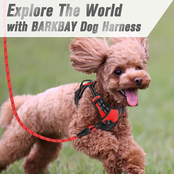 BARKBAY No Pull Dog Harness Front Clip Heavy Duty Reflective Easy Control Handle for Large Dog Walking(Red,XS)