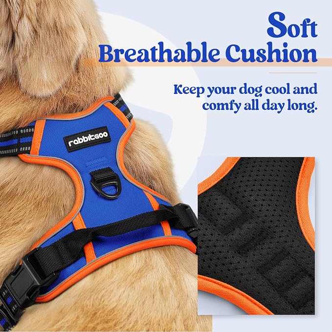 rabbitgoo Dog Harness, No Pull for Large Dogs with 2 Leash Clips, Pet Vest | No Choke with Handle, Adjustable Soft Padded, Reflective, Easy Control for Walking, Blue & Orange, Large