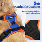 rabbitgoo Dog Harness, No Pull for Large Dogs with 2 Leash Clips, Pet Vest | No Choke with Handle, Adjustable Soft Padded, Reflective, Easy Control for Walking, Blue & Orange, X-Large