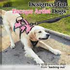 rabbitgoo Escape Proof Dog Harness for Large, No Pull with Lift Handle | No Escape, Full Soft Padded, Reflective Adjustable Vest, Leash Clip for Walking Hiking Training, Pink, Large