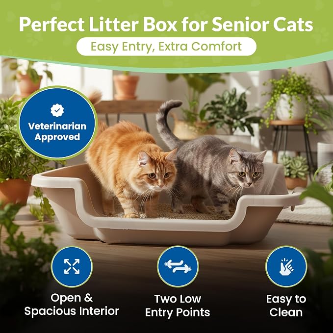 KittyGoHere 2.0 Easy Entry Cat Litter Box with Scoop, Large Misty Gray | Large Open - Top Low Entrance Litter Pan With Higher Sides & Durable Long-handle Jumbo Scoop for Easy Cleaning, Made in USA