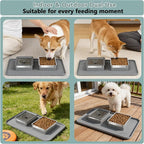 Dog Bowl Set, No Spill Dog Water and Food Bowl with Silicone Mat | Large Capacity 304 Stainless Steel Bowls, 2-In-1 Set, Slows Drinking, Anti-Slip Silicone Feeding Mat, Home/Travel, 6-7 Cups