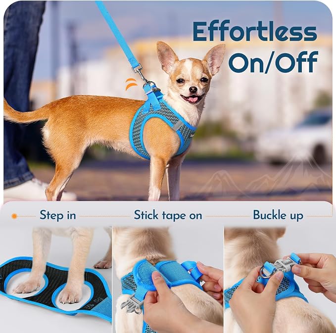 Eagloo Small Dog Harness and Leash Set, Step in Small Sized Puppy Pet Vest | Light, Soft, Breathable Air Mesh, Easy on and off with Hook & Loop, Reflective for Safe Walking, Blue, XS
