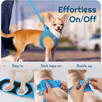 Eagloo Small Dog Harness and Leash Set, Step in Small Sized Puppy Pet Vest | Light, Soft, Breathable Air Mesh, Easy on and off with Hook & Loop, Reflective for Safe Walking, Blue, XS