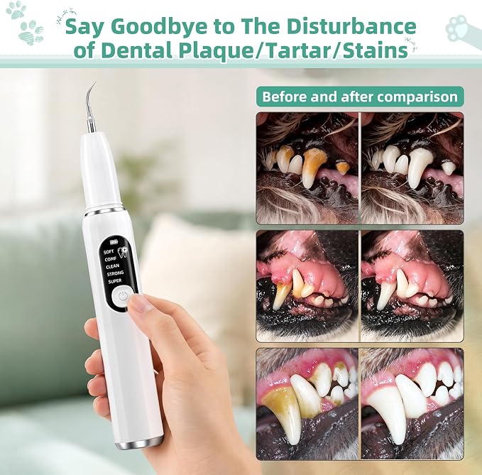 Dog Plaque Remover for Teeth, Pet Ultrasonic Tooth Cleaner Kit, 5 Adjustable Modes Dog Teeth Cleaning Kit with LED Light, Dental Tools, Tartar and Stain Remover for Dogs and Cats (White)