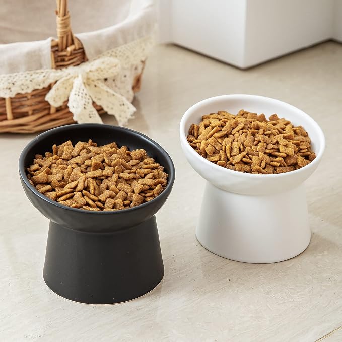 Elevated Cat Bowls, 15° Tilted Ceramic Raised Cat Food and Water Bowl Set, Whisker-Friendly Porcelain Pet Feeder Dishes for Indoor Cats and Small Dogs,White,5.2 Inch,2 Pack