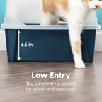 IRIS USA XX-Large High Sided Cat Litter Box, Scatter Shield, Navy | Maine Coons, Big Cat Accommodation, Oversized Basin, Extra Room Interior, Generous Dimensions, Comfortable Space