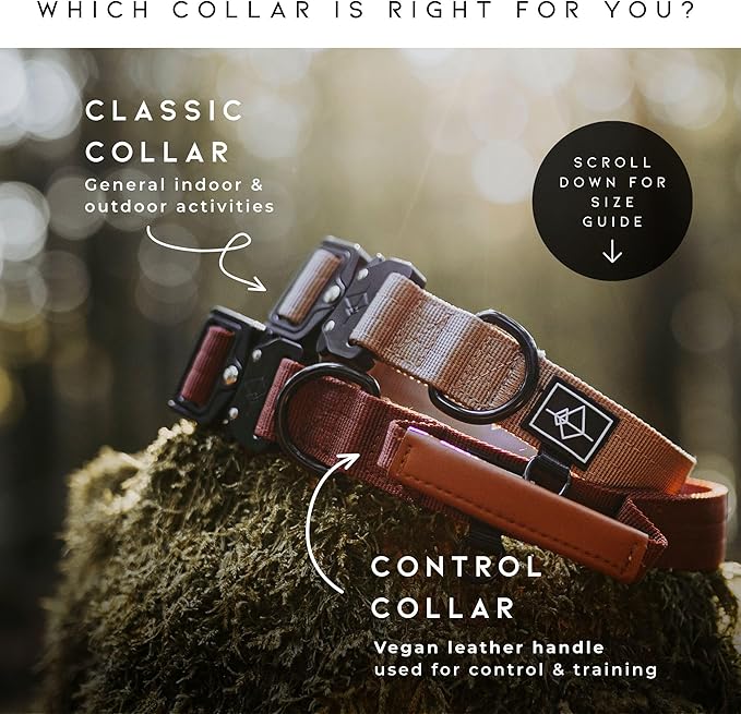 MADE TO ROAM Control Dog Collar | Leather Handle & Heavy Duty Metal Buckle | Premium adjustable collar with vegan leather handle. Fits medium to large dogs. 15 colors. Matching leash & harness