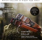MADE TO ROAM Control Dog Collar | Leather Handle & Heavy Duty Metal Buckle | Premium adjustable collar with vegan leather handle. Fits medium to large dogs. 15 colors. Matching leash & harness