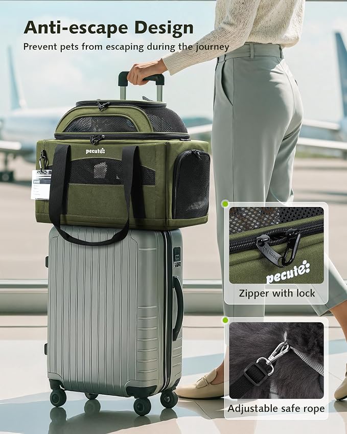 Pecute Expandable Airline Approved Pet Carrier for Cats & Dogs, Light Gray | Fits pets under 11 lbs, Under-seat airline approved, Anti-scratch mesh, Safety leash & locking zippers, Leakproof pee pad