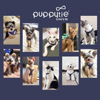Puppytie XXS Dog Harness and Leash Set, Navy, XXS (2.2–6 lbs) | Puppy Harness for Small Dogs, Teacup and Yorkie Harness, Soft Lightweight and Adjustable, XXS Dog Harness for Daily Walks