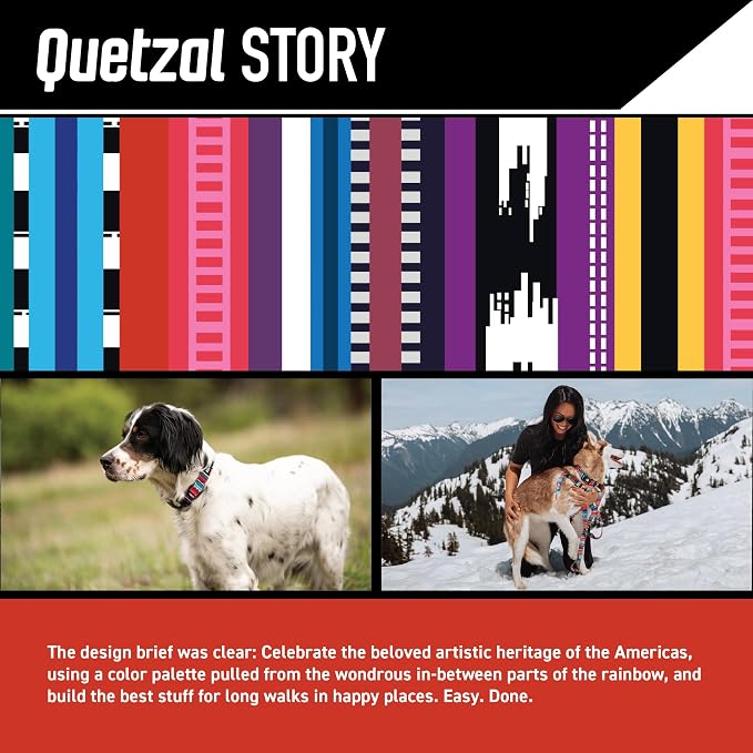 Wolfgang Heavy Duty Dog Leash, Pull-Tested to Over 800 lbs for Walking & Training, Quetzal Print, Small