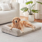 WINDRACING Orthopedic Dog Beds for Large Dogs, Waterproof Egg Foam Dog Sofa Bed with L Bolster Sides, Washable Large Pet Bed with Removable Cover & Non-Slip Bottom, 36 x 27 inch, Beige