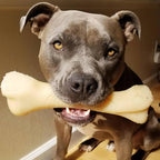 Nylabone Power Chew Monster Bone Dog Chew Toy, Chicken Flavor, XX-Large | Durable dog toys for aggressive chewers, long lasting, discourages destructive chewing, flavor throughout, for dogs 50++ lbs