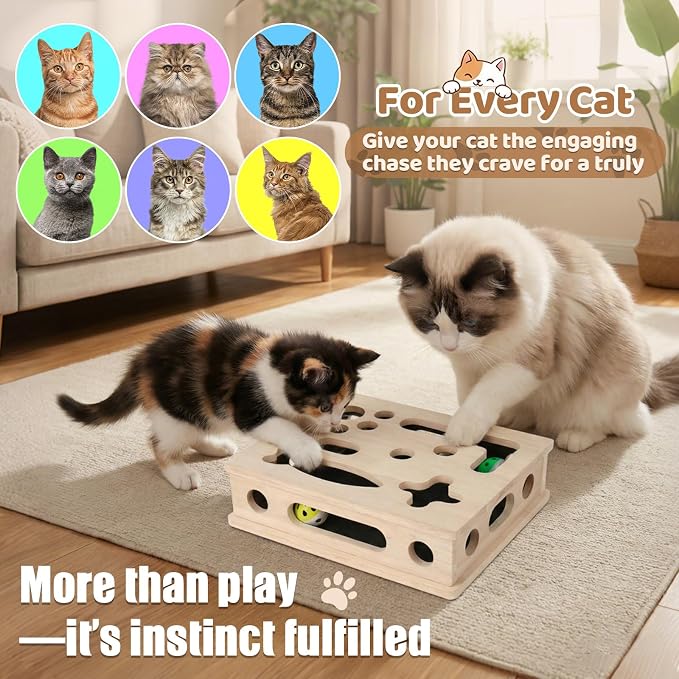 Cat Scratch Puzzle Enrichment Box, Wood Interactive Cat Toy with Sandpaper | Indoor Cat Nail File Box, Claw Craft Cat Nail Trimmer Box for Kitten, Cat Puzzle Toy, Nail Clipper(No Bell Ball)