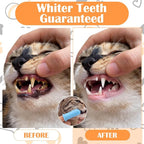 200 Pcs Dog Toothbrushes Bulk Dog Dental Kits 100 Dual Headed Dental Brushes 100 Finger Brushes 360 Degree Dogs Tooth Brushing Kits Easy Teeth Pet Cleaning Soft Care for Puppy Cats Supplies