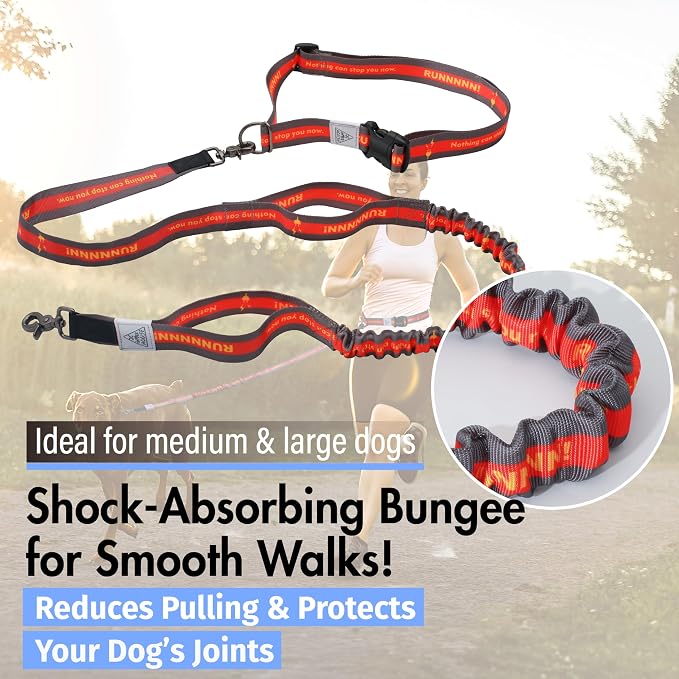 Hands Free Dog Leash with Waist Belt Lifetime Replacement, Dual Handle Bungee Leash for Running, Jogging, Hiking and Walking, for Medium and Large Dogs 5518