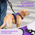 rabbitgoo Dog Harness, No Pull Medium Sized with 2 Leash Clips, Pet Vest | No Choke with Handle, Adjustable Soft Padded, Reflective, Easy Control for Walking, Purple, Medium