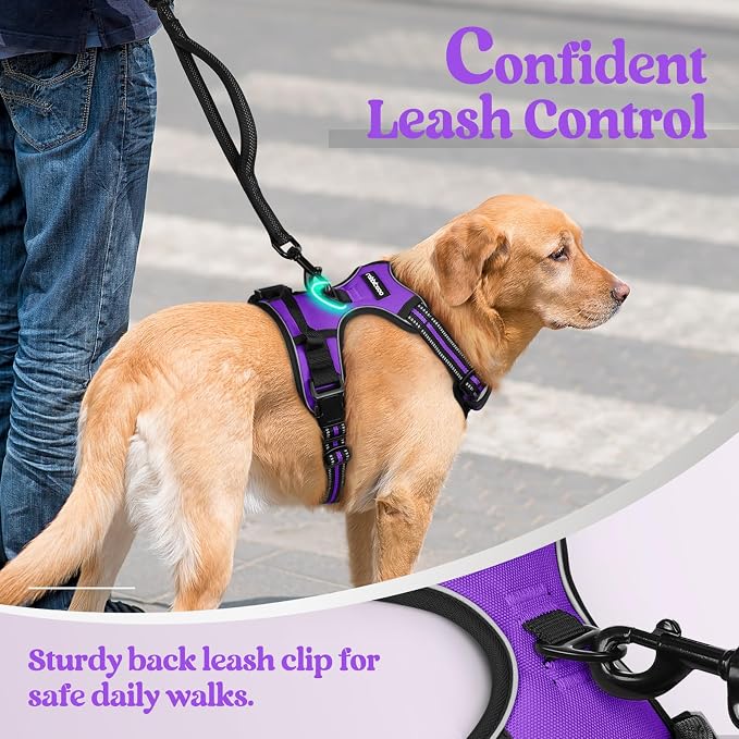 rabbitgoo Dog Harness, No Pull for Large Dogs with 2 Leash Clips, Pet Vest | No Choke with Handle, Adjustable Soft Padded, Reflective, Easy Control for Walking, Purple, X-Large