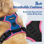 rabbitgoo Dog Harness, No Pull for Small Dogs with 2 Leash Clips, Pet Vest | No Choke with Handle, Adjustable Soft Padded, Reflective, Easy Control for Walking, Blue & Hot Pink, Small