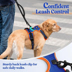 rabbitgoo Dog Harness, No Pull for Large Dogs with 2 Leash Clips, Pet Vest | No Choke with Handle, Adjustable Soft Padded, Reflective, Easy Control for Walking, Blue & Orange, X-Large