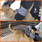 WZQH 21.3 In Gloves for Animal Handling,Welding,Bite Proof for Cat Dog.M | For Grabbing Reptile Bird Falcon Livestock Snake,Grooming,Trips to Vet,Fireplace.Puncture & Scratch Resistant,Leather,Black