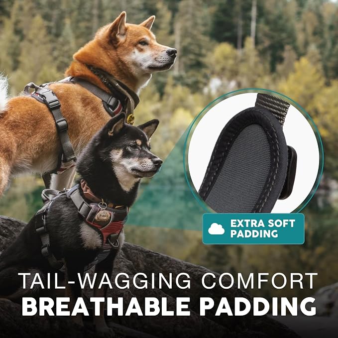 Embark Adventure Dog Harness for Small, Medium & Large Dogs – No Pull, Reflective Trim, Heavy Duty Oxford, 2 Leash Clips, Gel-Lined Handle, Soft Padded