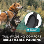 Embark Adventure Dog Harness for Small, Medium & Large Dogs – No Pull, Reflective Trim, Heavy Duty Oxford, 2 Leash Clips, Gel-Lined Handle, Soft Padded