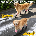 EXPAWLORER Non-Slip Dog Socks for Hardwood Floors to Prevent Licking, Dog Shoes for Hot Pavement Quick Walking, Dog Booties Boots & Paw Protectors with Grippers for Small Medium Large Senior Dogs M
