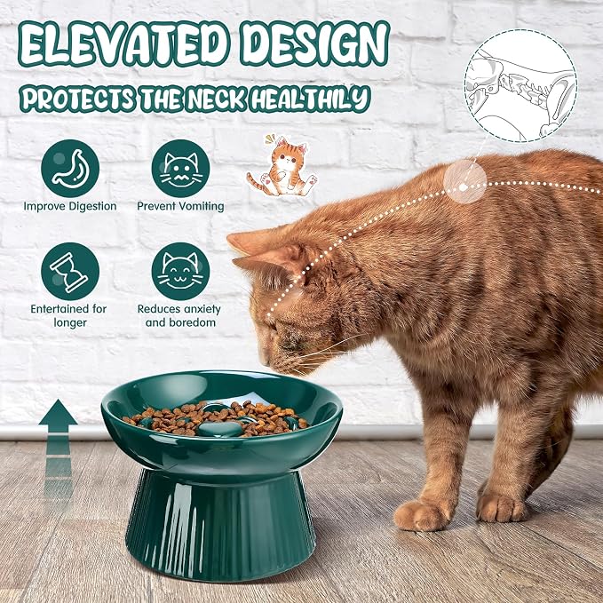 Tioncy 2 Pcs Ceramic Elevated Slow Feeder Cat Bowl, Raised Cat Slow Feeder Bowl, Anti Vomiting for Dry and Wet Food, No Spill High Edge Easy Clean Dishwasher Safe (Dark Green)