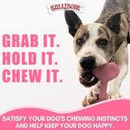 Bullibone Nylon Dog Chew Toy for Aggressive Chewers - Dental Hygiene Bone with Peppermint Flavor, Durable Tough Chew Toys for Large Dogs, Indestructible Dog Bone - Single