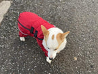 Lovelonglong Waterproof Dog Raincoat – 4-Leg Full Body Dog Rain Suit with Reflective Strips & Leash Opening, Outdoor Dog Jacket for Rainy Weather