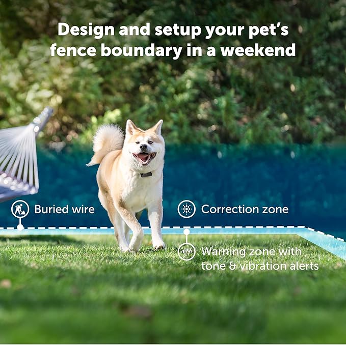 PetSafe Stubborn Dog In-Ground Fence Collar | Collar Only, Replacement, Extra, Add-A-Dog, Tone, Vibration, & Static, Waterproof, Dogs 8 lb+ Neck 6-28 in