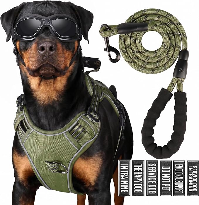 Service Dog Tactical Vest Harness and Leash Set Large Sized Dog Emotional Support- Tactical Dog Harness Training Collar with Name (Army Green, XL)