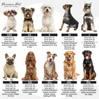 Parisian Pet Chambray Overall Dog Dress - Summer Clothes for Small Dogs Girl - Blue Denim Pet Dress - Designer Dog Overalls - Lightweight and Breathable Puppy Clothes - Dresses for Dogs