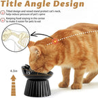 Ceramic Raised Cat Bowl，Tilted Raised Bowl Anti Vomit Bowls for Indoor Cats Whisker Friendly Pet Feeder for Cats Puppies, Microwave and Dishwasher Safe