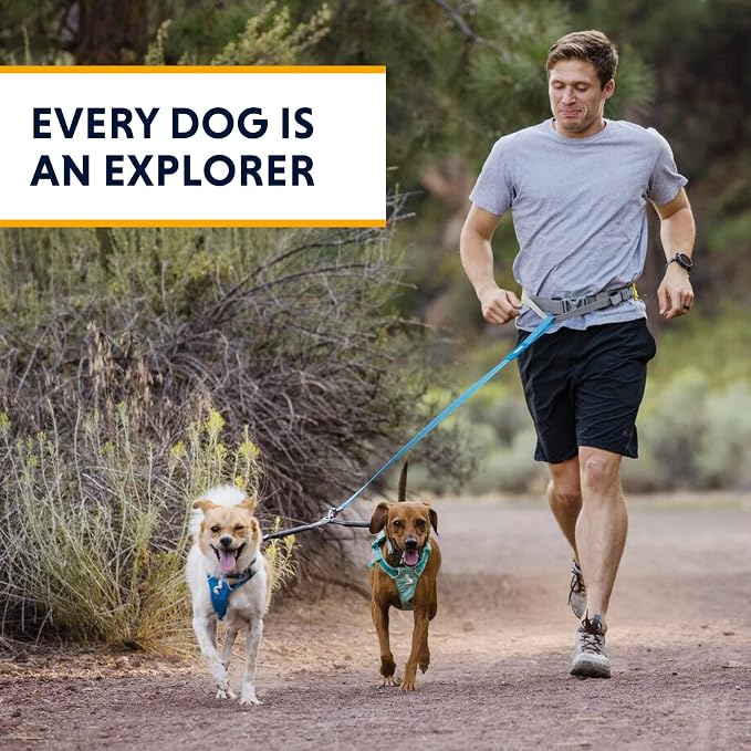 Ruffwear, Double Track Coupler, Double Leash for Two Dogs, Premium Heavy Duty Dual Splitter with 360° Lockable Swivel No Tangle, Shock-Absorbing Stretch Webbing for Walking & Hiking, Basalt Gray